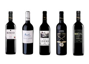 葡萄酒進口全流程解析 從國外貨源到國內貿易的一站式服務指南